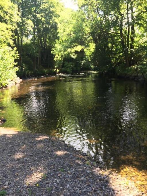 Stunning 3 Bed Riverside Cabin In Snowdonia Caeathro Exterior photo