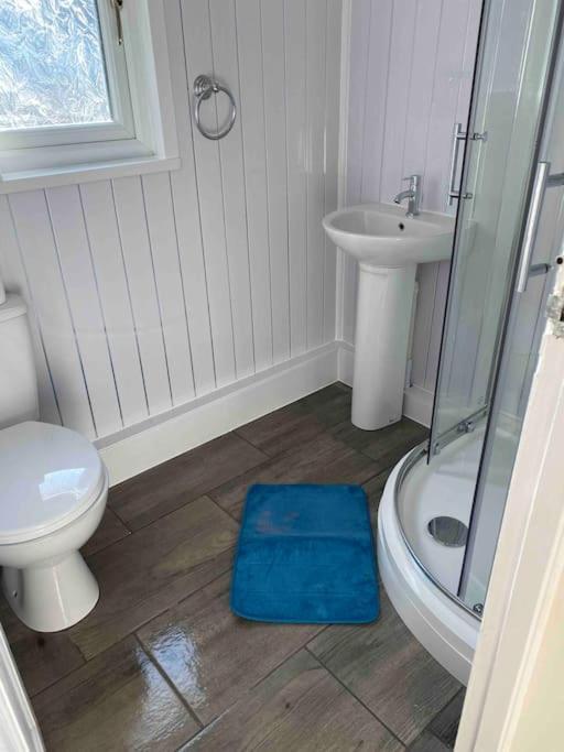 Stunning 3 Bed Riverside Cabin In Snowdonia Caeathro Exterior photo